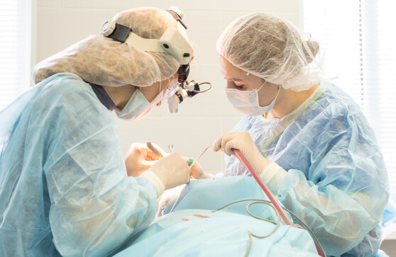 Хирурги делают операцию при боли сосудистого генеза